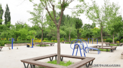 帮解孤单、焦炙等不良情感